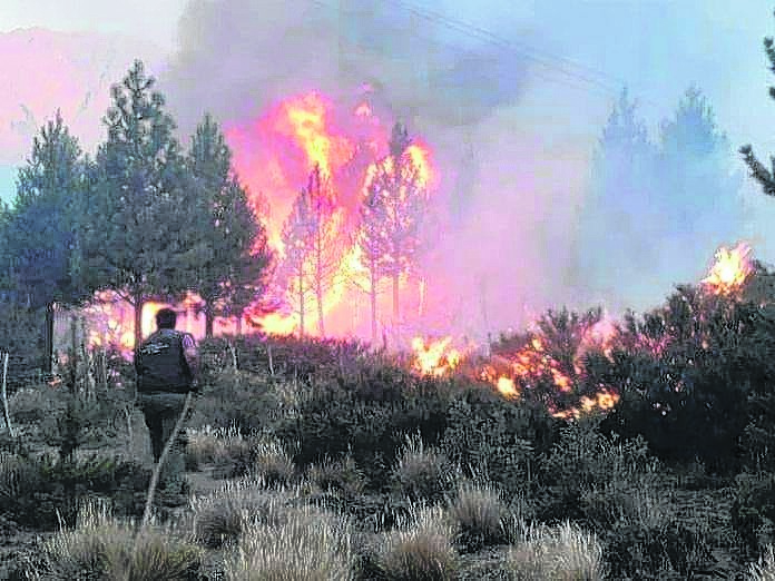 Unos 230 brigadistas intentan contener el incendio en El Pedregoso. Foto: archivo