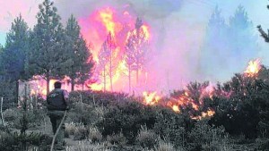 Más de 200 brigadistas combaten el incendio en El Pedregoso, a 7 kilómetros de El Hoyo