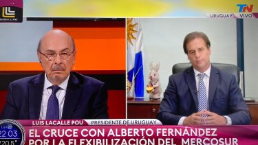 Un conejo en el despacho del presidente uruguayo generó gran repercusión en redes sociales. 