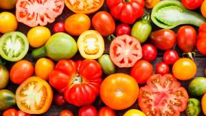China Muerta: ¡a degustar variedades de tomates este sábado!