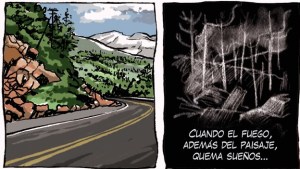 Cuando el fuego, además del paisaje, quema sueños: incendios en la Patagonia y la mirada de Chelo Candia