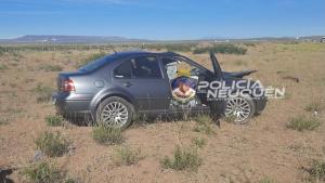 Un conductor de Zapala murió al impactar en Ruta 22 contra un animal vacuno