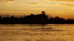 Ailen Lascano Micaz nadó más de 100 kilómetros para unir Guardia Mitre con Viedma