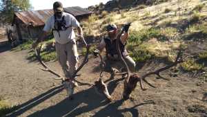 Golpe a la caza furtiva en Neuquén: allanamientos con secuestro de armas