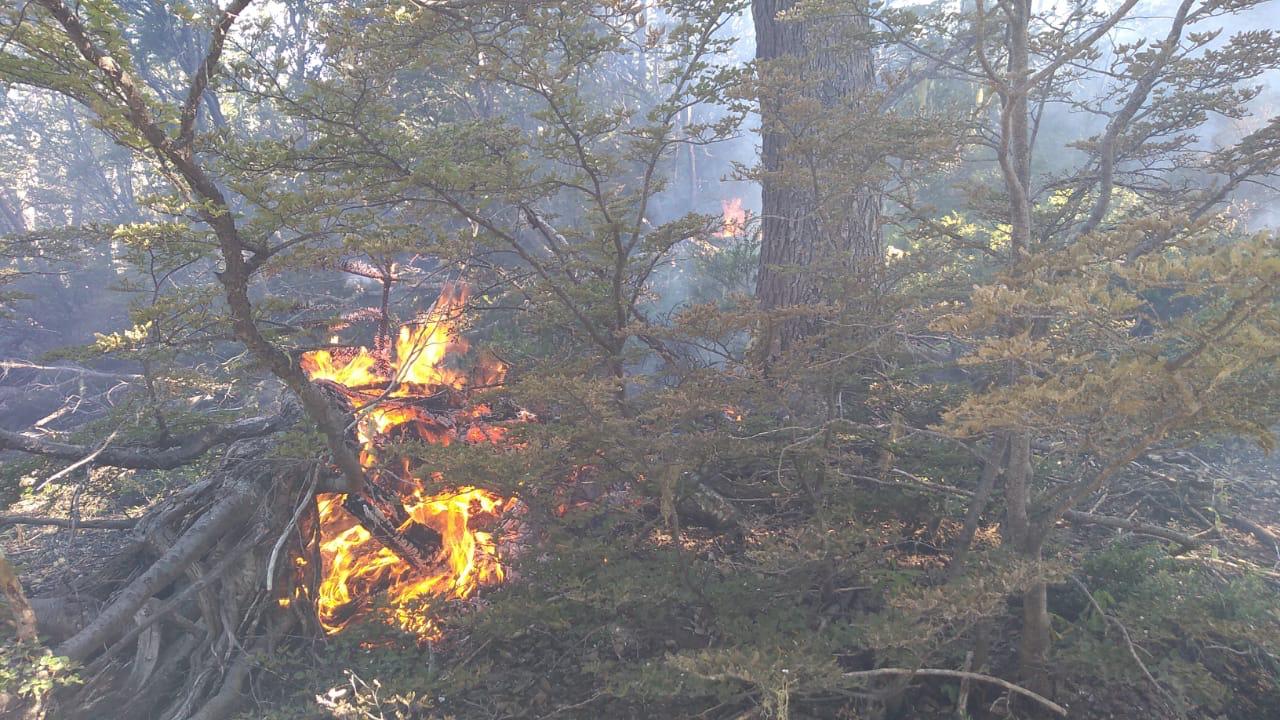 Una de las imágenes de ayer por la tarde, en el cerro Chenque-Co, en Moquehue. (Gentileza bomberos).-