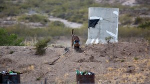 El celular de Videla orienta  la búsqueda al norte de Roca