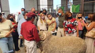 La gobernadora Carreras y la intendenta Soria recorrieron juntas ayer por la tarde el predio de la Sociedad Rural del Alto Valle.