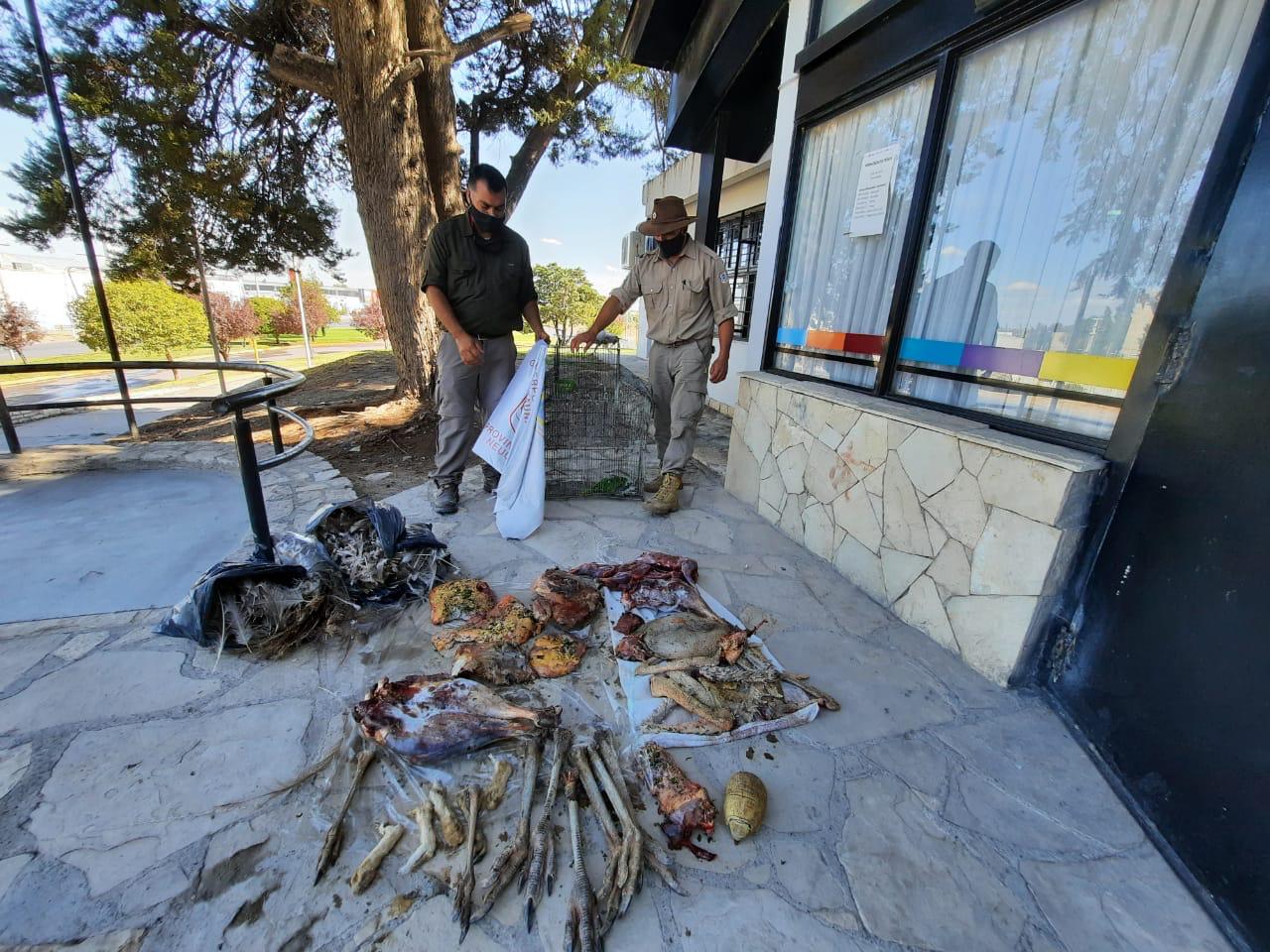 Los restos de carne que fueron secuestrados. Foto: Guardafaunas Neuquén