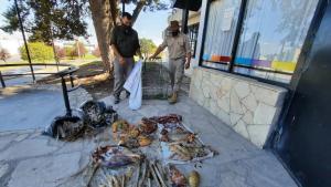 Encuentran restos de carne de choique, mara y piche preparados y condimentados en China Muerta