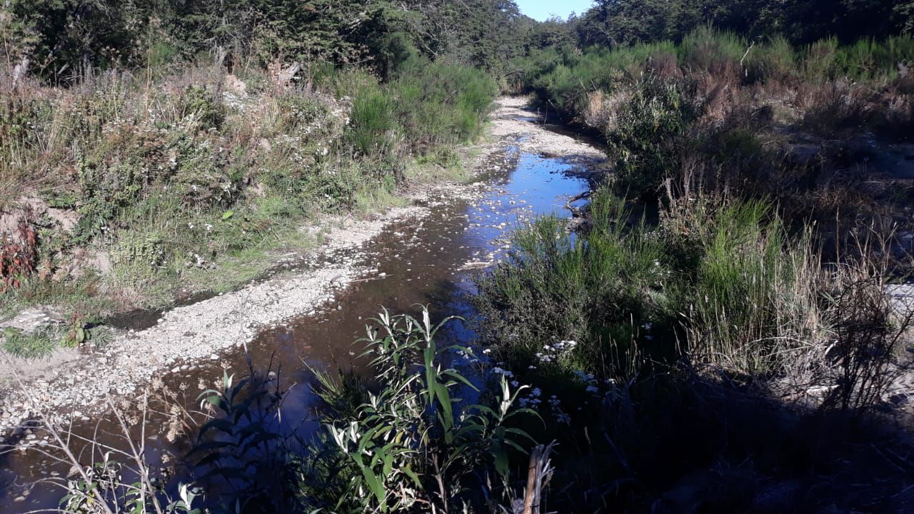 El arroyo Las Piedritas, de Villa La Angostura volvió a sufrir derrames de líquidos cloacales. (Foto: Diario Andino)