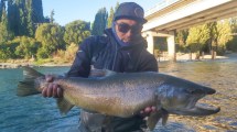 Imagen de La trucha de su vida: pescó a “Nahuelito” en el Limay, a 16 km de Bariloche