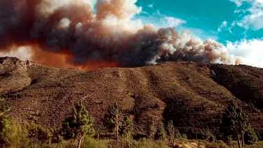 El incendio se desató el último domingo. Foto: Gentileza Limite 42