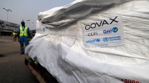 Imagen de Vacunas: Argentina recibirá dos millones de dosis por el sistema Covax hasta mayo