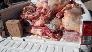 Decomisan 800 kilos de carne en mal estado en San Antonio Oeste