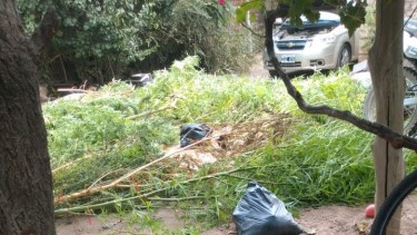 Los operativos se realizaron en el barrio Progreso. Foto gentileza.