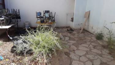 Una imagen del abandono del patio de la escuela 137 (Fuego 24)