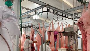 Cooperativa de Roca se hace cargo del frigorífico de carne de Jacobacci con la idea de exportar