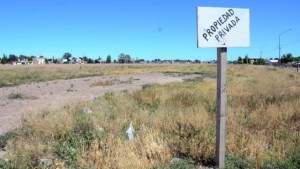 El Deliberante de Viedma busca acelerar el proyecto de limpieza de baldíos