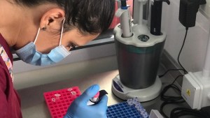 El laboratorio de Bariloche multiplicó por diez su ritmo