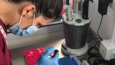 Un equipo de cinco mujeres, profesionales de la Biología y la Medicina, integran el laboratorio. Foto: gentileza