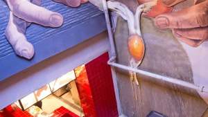 21 fotos del primer mercado gastronómico porteño a días de inaugurarse: vanguardista y cultural