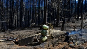 Incendios en la Patagonia: hallaron calcinado a un trabajador rural cerca de El Maitén