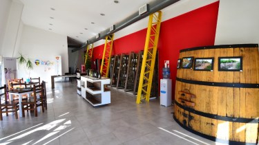 En la Oficina de Turismo se realizarán degustaciones de vinos para celebrar la Vendimia. (Foto Néstor Salas)