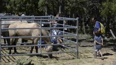La feria se llevará a cabo este fin de semana en el predio de la Sociedad Rural Bariloche. Foto: archivo