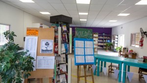 Las resistentes bibliotecas populares: cómo se adaptaron y mantuvieron este año