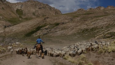 Murió por hantavirus un criancero de Loncopué
