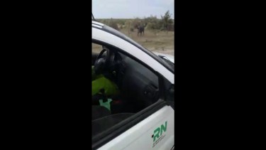 La camioneta utilizada estaba afectada a los servicios del balneario El Cóndor.