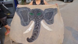 Por qué los autoconvocados de Salud de Neuquén eligieron un elefante como símbolo de protesta