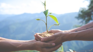 Concept of environmental conservation in the garden for children.