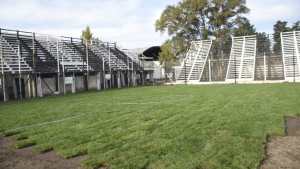 Cipolletti comenzó a colocar los panes de césped natural en La Visera