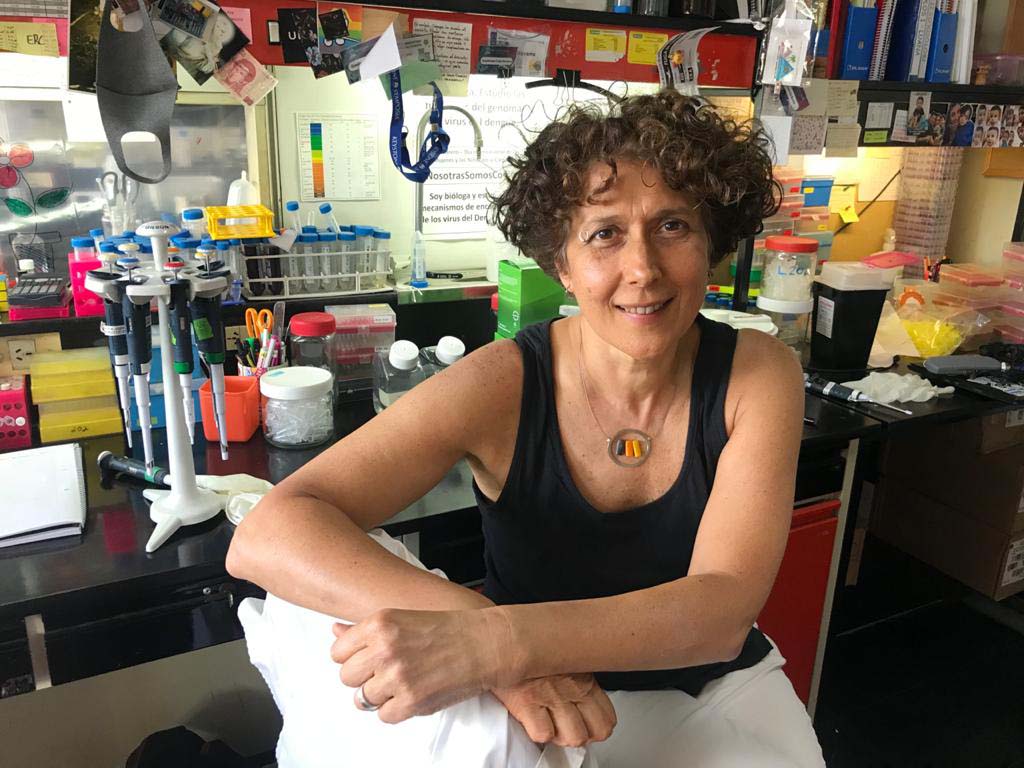 La viróloga Andrea Gamarnik, investigadora superior del Conicet en la Fundación Instituto Leloir (FIL) y líder del desarrollo de los test serológicos para coronavirus nacionales, fue incorporada a la Academia Estadounidense de las Artes y las Ciencias (AAAS). 