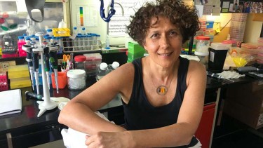 La viróloga Andrea Gamarnik, investigadora superior del Conicet en la Fundación Instituto Leloir (FIL) y líder del desarrollo de los test serológicos para coronavirus nacionales, fue incorporada a la Academia Estadounidense de las Artes y las Ciencias (AAAS). 
