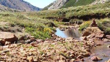 “Las sendas, a la vista de las personas, son simplemente caminitos. Pero por más simple que parezcan, no lo son”, explicaron. Foto: gentileza