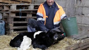 El animal se encuentra en buen estado de salud, pero hay dudas sobre su expectativa de vida. Foto: Reuters.-