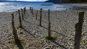 Argentina ante la transición energética: uso eficiente y consenso social