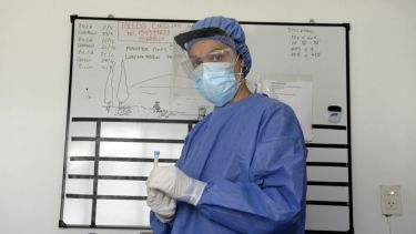 Bariloche suma 184 casos activos de coronavirus. 