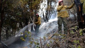 Pericias revelaron que un fogón mal apagado causó el incendio forestal en El Bolsón