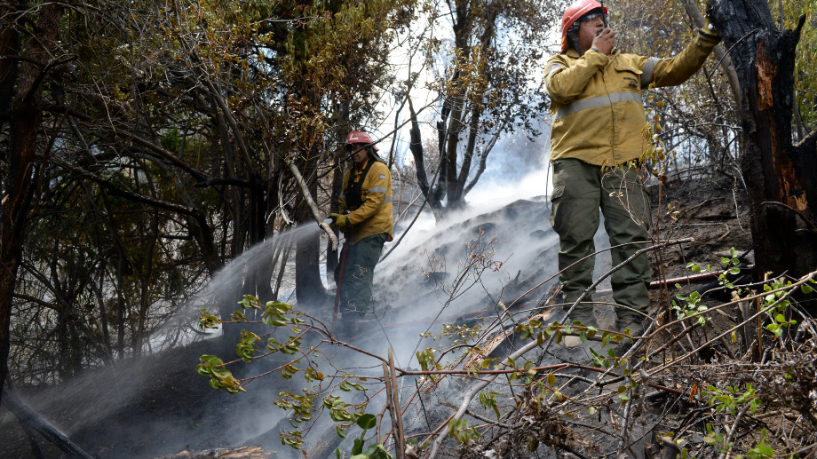 Los incendios forestales del verano pasado marcan un precedente del riesgo que traerá la sequía en los meses de calor. Foto: Archivo/ Chino Leiva