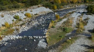 Definen las riberas del arroyo Ñireco en el sur de Bariloche