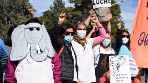 Día 21 de cortes de Salud en Neuquén que continuarán, al menos, hasta el miércoles
