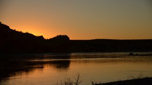 Nueva excursión por la ciudad: Paseo Histórico y Botánico