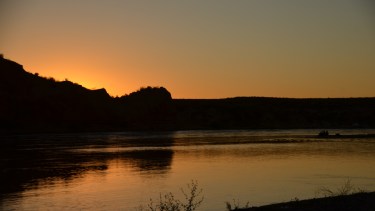 Nueva excursión por la ciudad: Paseo Histórico y Botánico
