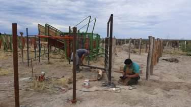 Los organizadores ultiman detalles para comenzar a recibir los animales. Foto: gentileza. 