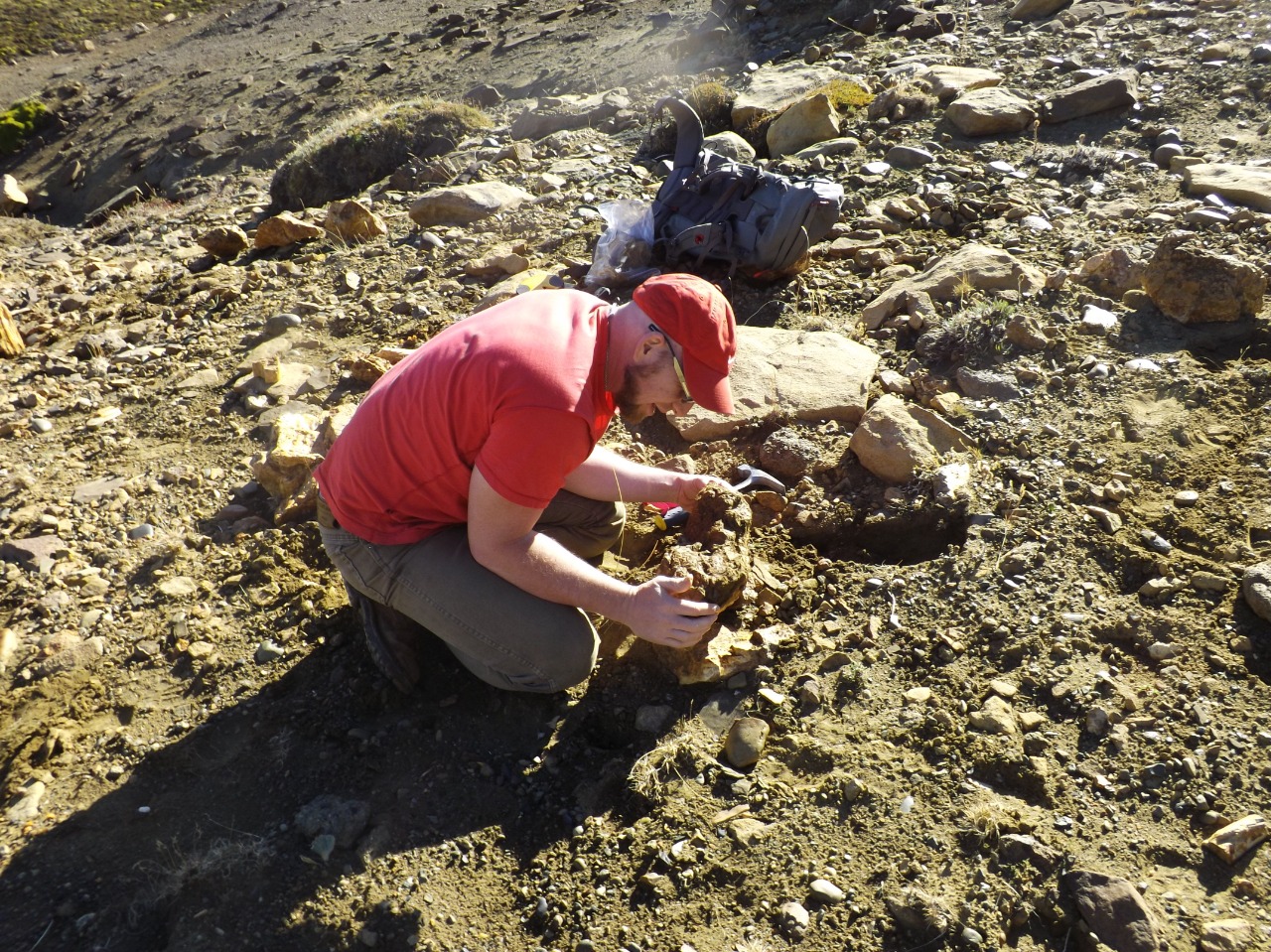 El paleobotánico Leandro Martínez es investigador del CONICET en el Instituto de Botánica Darwinion y Profesor en la Universidad Nacional de La Plata. Estudia los troncos petrificados en Neuquén.