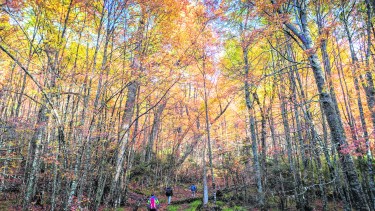 Turismo interno: no hay ninguna prohibición para viajar