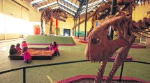 Imagen de Aniversario Plaza Huincul: Por qué es la cuna de la paleontología
